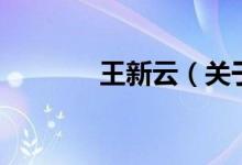 王新云（關(guān)于王新云的介紹）