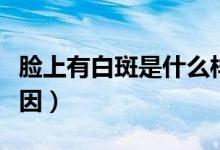 臉上有白斑是什么樣的（臉上有白斑是什么原因）