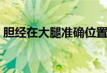 膽經(jīng)在大腿準(zhǔn)確位置（膽經(jīng)在大腿準(zhǔn)確位置）