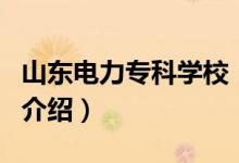 山東電力?？茖W(xué)校（關(guān)于山東電力?？茖W(xué)校的介紹）
