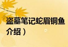 盜墓筆記蛇眉銅魚（關(guān)于盜墓筆記蛇眉銅魚的介紹）