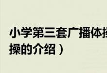 小學(xué)第三套廣播體操（關(guān)于小學(xué)第三套廣播體操的介紹）
