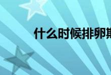 什么時候排卵期（怎么算排卵期）