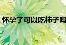 懷孕了可以吃柿子嗎（懷孕了可以吃桂圓嗎）