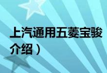 上汽通用五菱寶駿（關(guān)于上汽通用五菱寶駿的介紹）