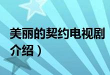 美麗的契約電視?。P于美麗的契約電視劇的介紹）