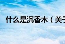什么是沉香木（關(guān)于什么是沉香木的介紹）