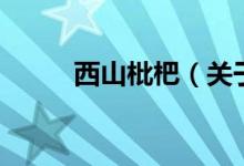 西山枇杷（關(guān)于西山枇杷的介紹）