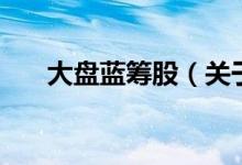 大盤藍(lán)籌股（關(guān)于大盤藍(lán)籌股的介紹）