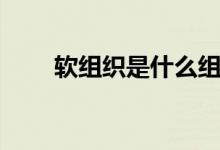 軟組織是什么組成（軟組織是什么）