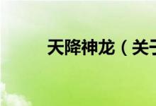 天降神龍（關(guān)于天降神龍的介紹）