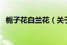 梔子花白蘭花（關(guān)于梔子花白蘭花的介紹）