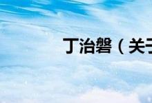 丁治磐（關(guān)于丁治磐的介紹）