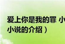 愛上你是我的罪 小說（關(guān)于愛上你是我的罪 小說的介紹）