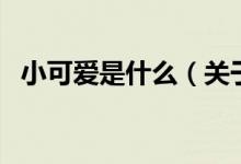小可愛是什么（關(guān)于小可愛是什么的介紹）