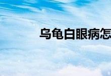 烏龜白眼病怎么辦（怎么治療）
