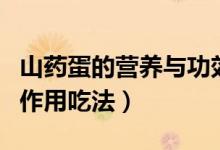 山藥蛋的營養(yǎng)與功效與做法（山藥蛋的功效與作用吃法）