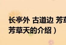 長(zhǎng)亭外 古道邊 芳草天（關(guān)于長(zhǎng)亭外 古道邊 芳草天的介紹）