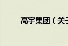 高宇集團(tuán)（關(guān)于高宇集團(tuán)的介紹）