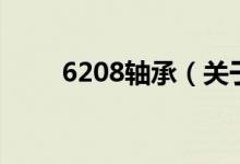 6208軸承（關(guān)于6208軸承的介紹）