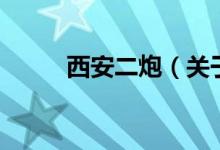 西安二炮（關(guān)于西安二炮的介紹）
