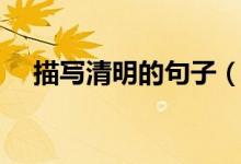 描寫清明的句子（描寫清明節(jié)的好句子）