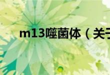 m13噬菌體（關(guān)于m13噬菌體的介紹）