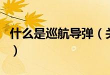 什么是巡航導(dǎo)彈（關(guān)于什么是巡航導(dǎo)彈的介紹）