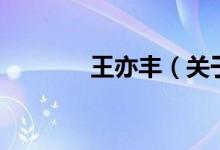 王亦豐（關于王亦豐的介紹）