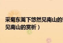 采菊東籬下悠然見南山的菊的意象是什么（采菊東籬下悠然見南山的賞析）