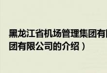 黑龍江省機(jī)場(chǎng)管理集團(tuán)有限公司（關(guān)于黑龍江省機(jī)場(chǎng)管理集團(tuán)有限公司的介紹）