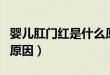 嬰兒肛門紅是什么原因引起的（寶寶肛門紅的原因）