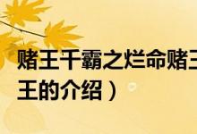 賭王千霸之爛命賭王（關于賭王千霸之爛命賭王的介紹）