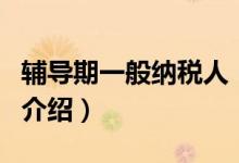 輔導(dǎo)期一般納稅人（關(guān)于輔導(dǎo)期一般納稅人的介紹）