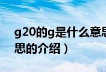 g20的g是什么意思（關(guān)于g20的g是什么意思的介紹）