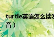 turtle英語(yǔ)怎么讀發(fā)音（turtle英語(yǔ)怎么讀發(fā)音）