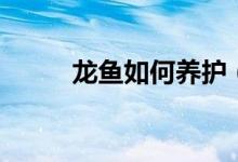 龍魚如何養(yǎng)護(hù)（龍魚養(yǎng)護(hù)的方法）