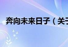 奔向未來日子（關(guān)于奔向未來日子的介紹）