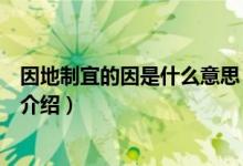 因地制宜的因是什么意思（關(guān)于因地制宜的因是什么意思的介紹）