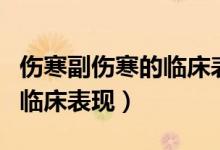 傷寒副傷寒的臨床表現(xiàn)有哪些（傷寒副傷寒的臨床表現(xiàn)）