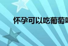 懷孕可以吃葡萄嗎（葡萄的營養(yǎng)價值）