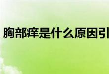 胸部癢是什么原因引起（胸部癢是什么情況）