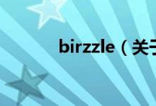 birzzle（關(guān)于birzzle的介紹）
