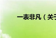 一表非凡（關(guān)于一表非凡的介紹）