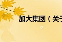 加大集團(tuán)（關(guān)于加大集團(tuán)的介紹）