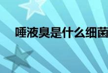 唾液臭是什么細(xì)菌（唾液臭是什么原因）