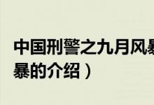 中國刑警之九月風(fēng)暴（關(guān)于中國刑警之九月風(fēng)暴的介紹）