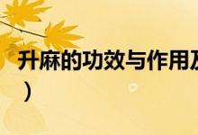 升麻的功效與作用及禁忌（升麻的功效與作用）