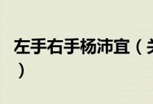 左手右手楊沛宜（關(guān)于左手右手楊沛宜的介紹）
