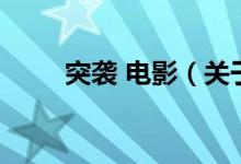 突襲 電影（關(guān)于突襲 電影的介紹）